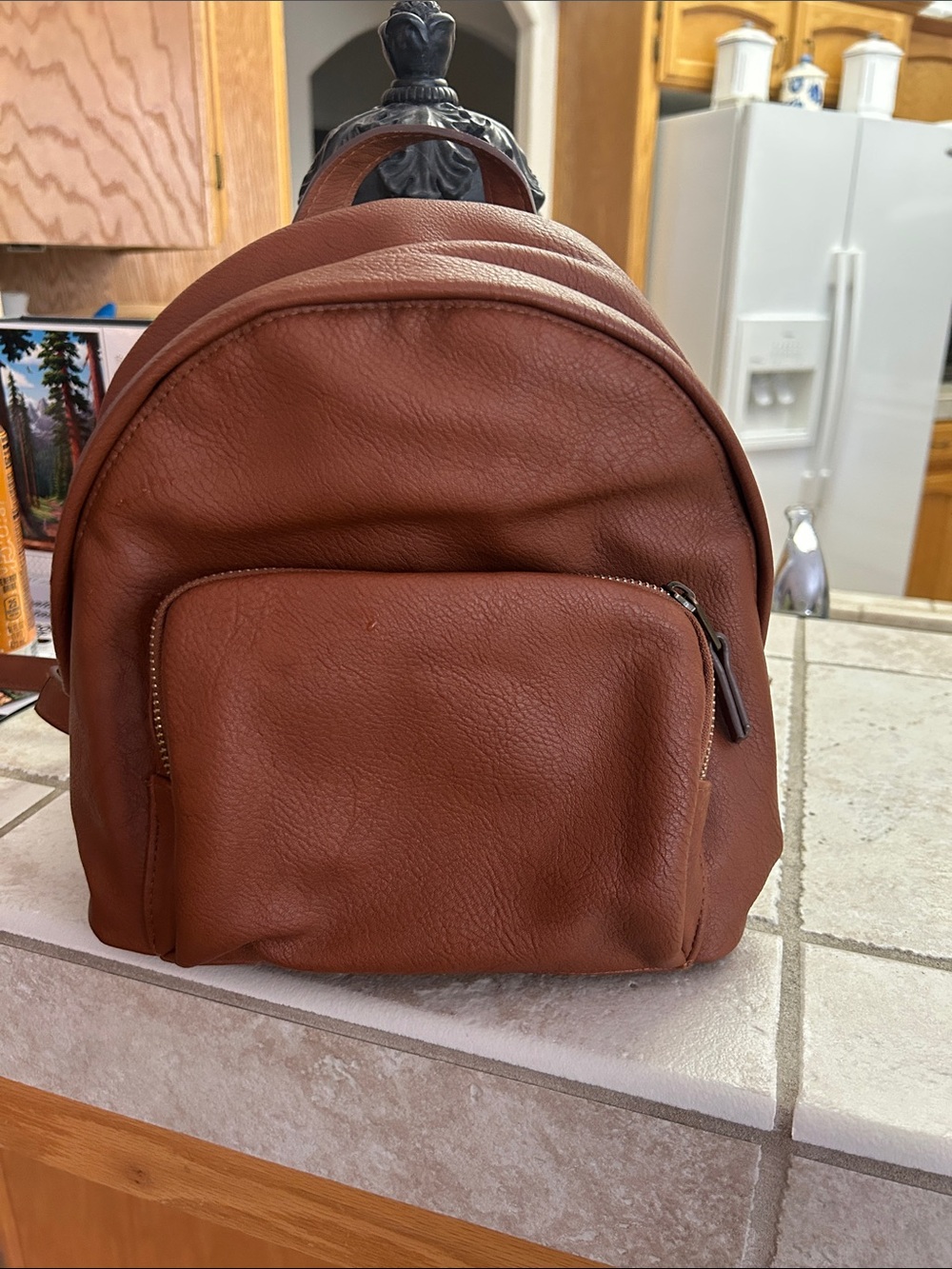 Universal Thread Rust Brown Pebbled Leather Mini Backpack